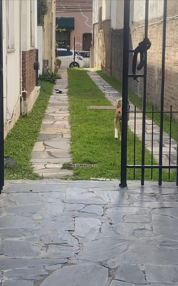 Venta Ph 2 Dormitorios con Jardin en San Isidro Apto Credito